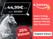 ehorses End of Year Sale!