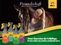 Effol Insektenschutz: Sicherheit für Pferd und Mensch