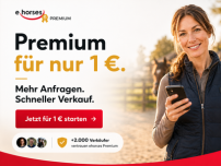 Mehr Anfragen, schnellerer Verkauf!